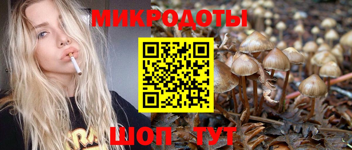 Псилоцибиновые грибы Psilocybe  Вход с VPN  Галлюциногенные грибы прущие грибы  Владивосток 