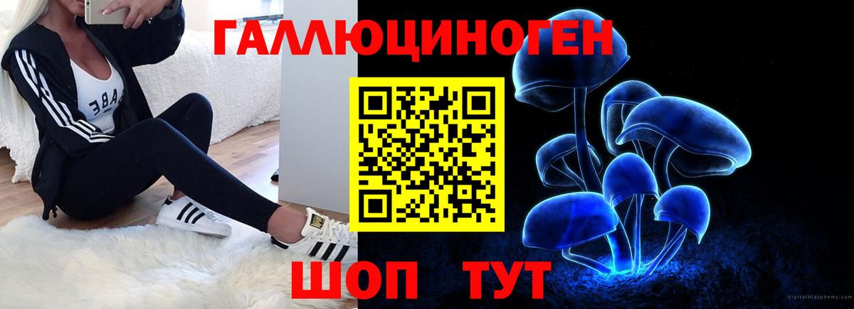 Псилоцибиновые грибы Psilocybe Владивосток